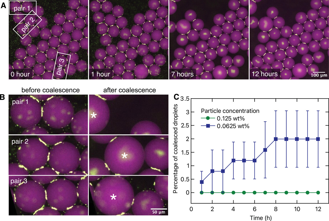 Illustration of pickering emulsions